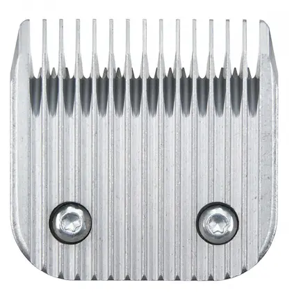 data-moser-1245-7360-1-800x800